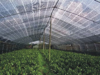 Agriculture net
